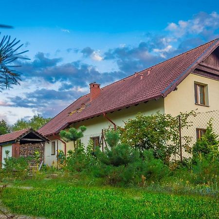 Noclegi Przylesie Rychnowy Buitenkant foto